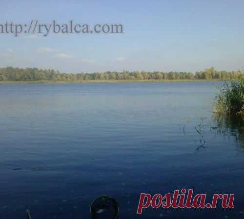 Рыба и погода