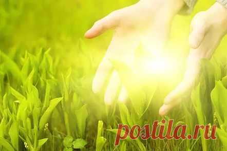 ЧИСТИМ СЕБЯ ЛАДОНЯМИ