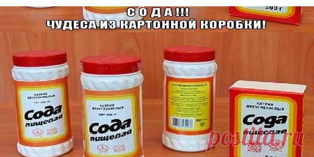 Сохраните, чтобы не потерять.
Лекарство от рака?
Как это ни странно звучит, но факт остаётся фактом – этим экстрактом лечат рак в Болгарии. И более того – дают 100% гарантию, что рак им можно излечить как до операции, так и после. Рецепт на удивление прост. Кстати, в России есть люди, которые утверждают, что именно этим рецептом они излечились от рака. Возможно совместно с приёмом медицинских препаратов. Утверждать что либо не могу, поэтому просто выдаю рецепт.
Собрать яго...