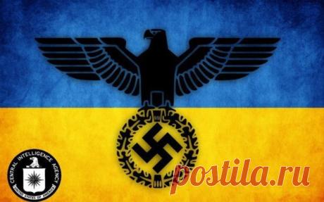 НАЕМНИЧЕСКИЕ батальоны и бандформирования Украины.