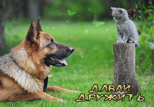 Давай дружить! - открытки и картинки Давай дружить! - С надписями красивые открытки для поздравления и анимационные картинки на праздник