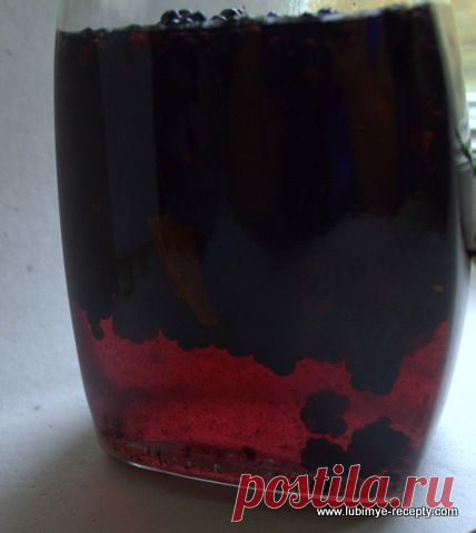 Ежевичный ликёр | 4vkusa.ru