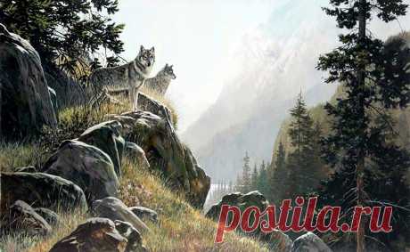 Художник Douglas R. Laird (Дуглас Лейрд). Часть 4.