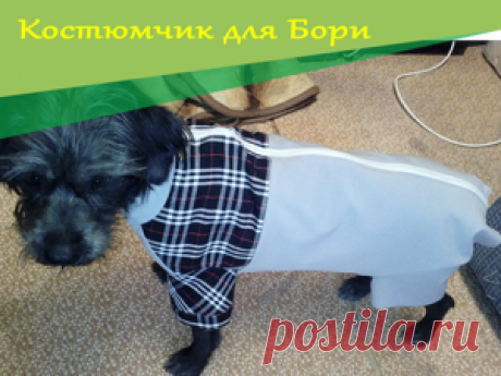 Мастер-класс : Шьем костюмчик для Франта | Журнал Ярмарки Мастеров Шьем костюмчик для Франта – бесплатный мастер-класс по теме: Кройка и шитье ✓Своими руками ✓Пошагово ✓С фото