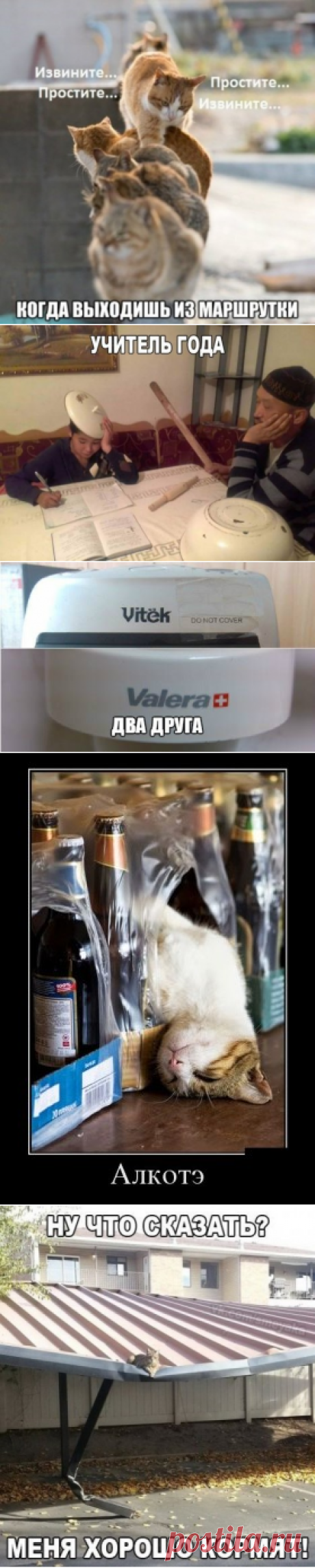 Выпуск №718 — Вокруг смеха - анекдоты