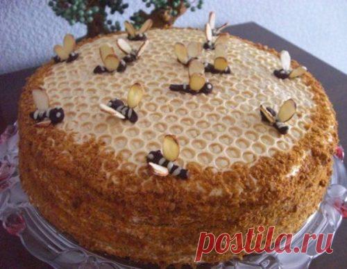 Как научиться делать торты в домашних условиях для семьи и на заказ