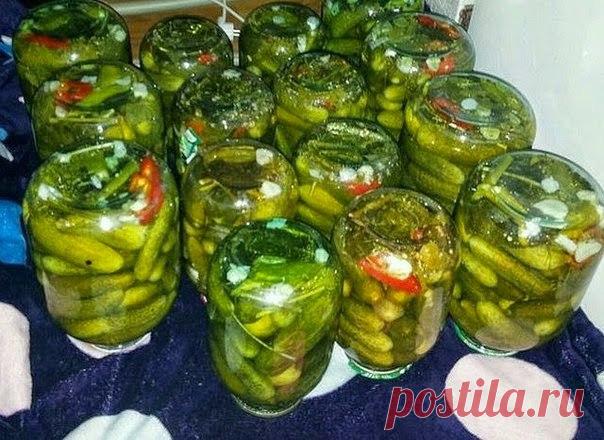 Интересные новости