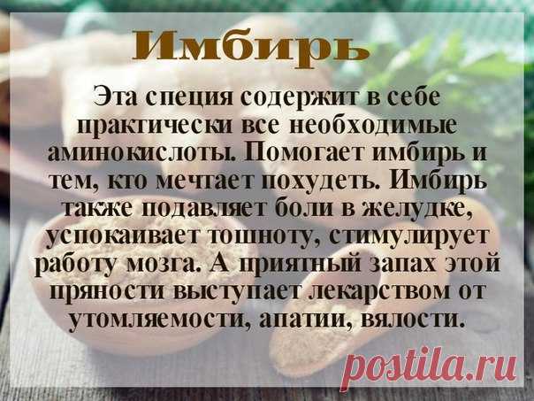 Полезные свойства специй