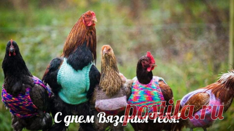 С днем вязания
Поздравляю! Знай, что ты —
Впрямь само очарование,
Пусть же сбудутся мечты.