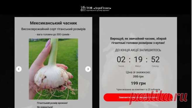 Мексиканський часник