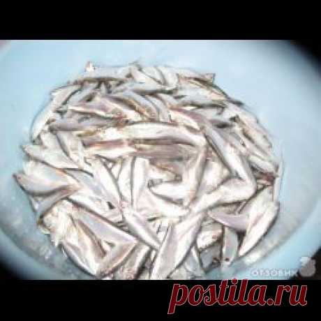 Посол &quot;Тюльки&quot;