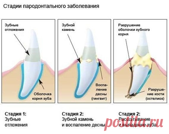1 непрочитанный чат