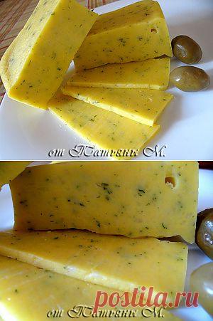 Домашний сыр с зеленью (мультиварка). Рецепт c фото, мы подскажем, как приготовить!