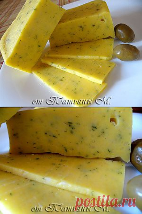 Домашний сыр с зеленью (мультиварка). Рецепт c фото, мы подскажем, как приготовить!