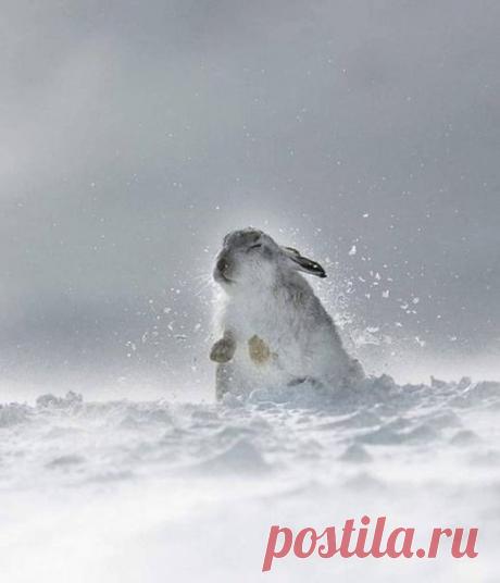 ❀Этот Удивительный Мир ❀