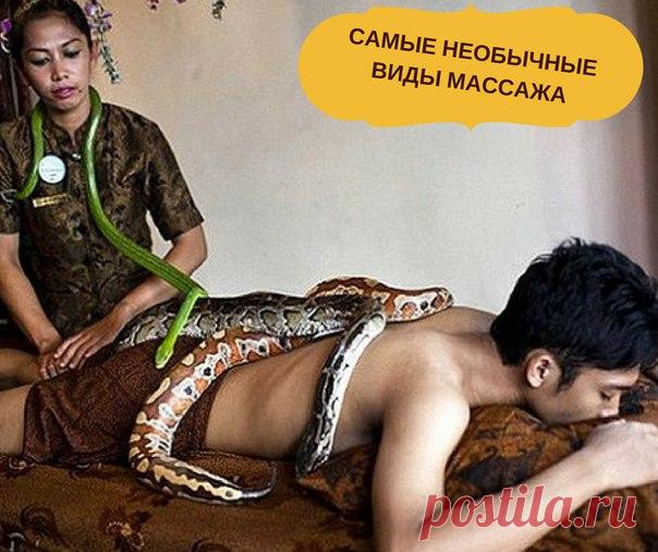 МАССАЖ ЗМЕЯМИ, ИЛИ ЗМЕИНЫЙ МАССАЖ. Это уже точно для экстремалов.
Этот удивительный массаж бесплатно предлагают в городском зоопарке 