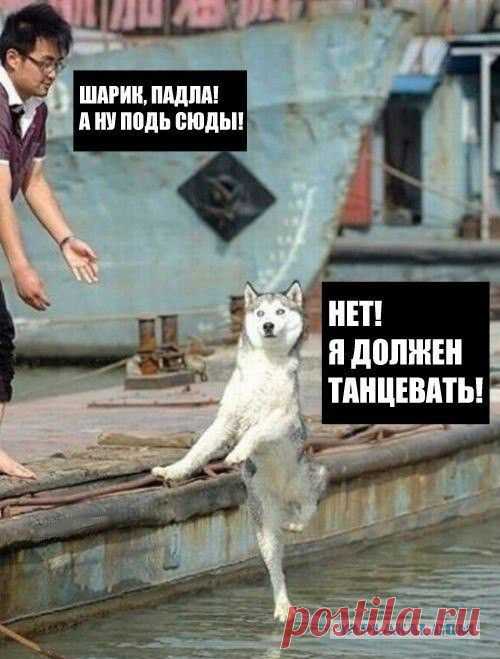 Немного смешных картинок из сети - ЯПлакалъ