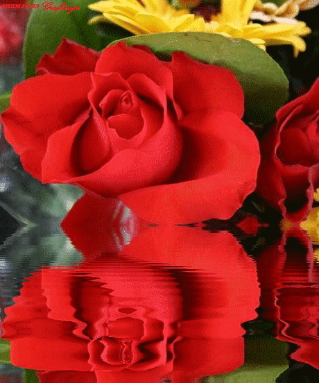 Плейкаст «ღ❤ღИЗ ВСЕХ ПОДРУГ,ТЫ ЛУЧШАЯ НА СВЕТЕ...ღ❤ღ»