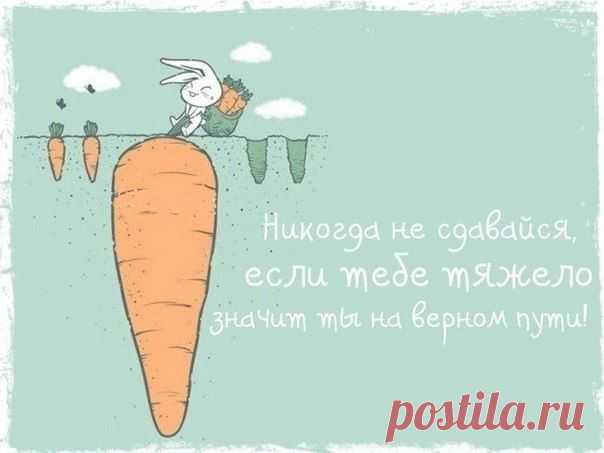 Всегда говори Да | Мотивация и вдохновение