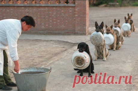 22 фотографии, которые сразили нас наповал