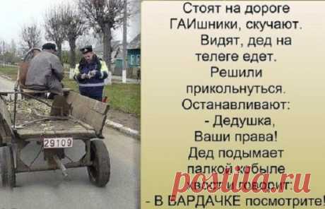 (46) Одноклассники