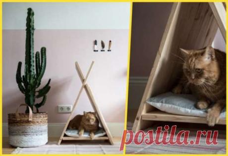 Домики для кошек: удачные идеи, обеспечивающие питомцам максимум комфорта | Краше Всех