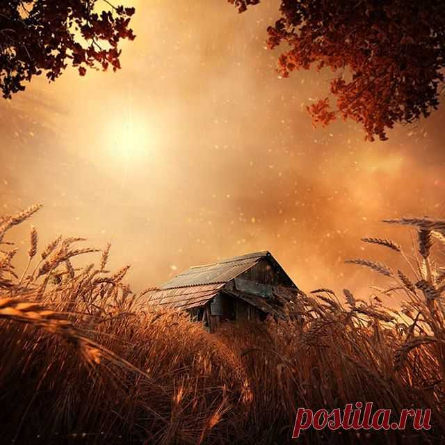 Мерно дожди на асфальте рисуют пентакли...
Дни всё короче, а ночи всё дольше. Ты грустно
Смотришь на холод стекла, на прозрачные капли,
Осознаёшь отчуждённость; что свято, да пусто.

Странно, но небо в глазах Твоих как не родное;
Мало тепла, сохранившего лёгкую просинь.
Всё волшебство облаков (белых лёгких каноэ)
Тает, уплыв за макушки задумчивых сосен.

В дерзкую Осень влюблён (даже больше, чем думал);
В лес порыжевший, в туман, так похожий на вату,
В блёклое утро и день,...