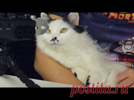 Апгрейд звука