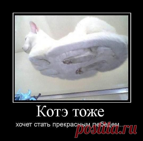 Котэ