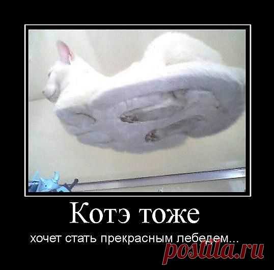Котэ