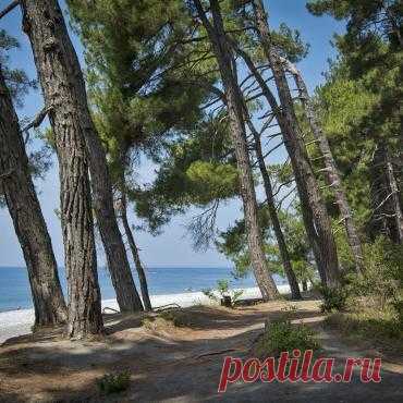 Тур Абхазия, Пицунда из Москвы за 25125р, 19 октября 2020