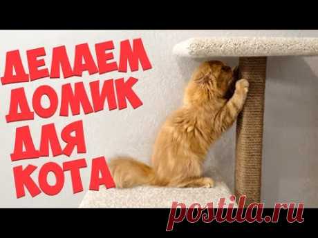 Как сделать домик для кота. Когтеточка своими руками