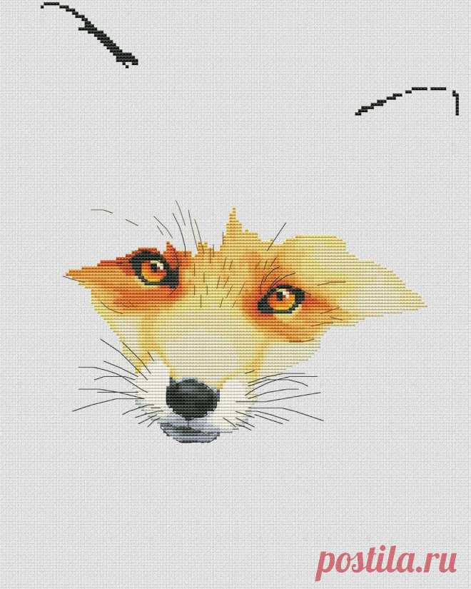 Added by @nadya.gavrilenkova Instagram post 🦊