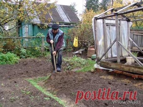 Как правильно обработать почву осенью...