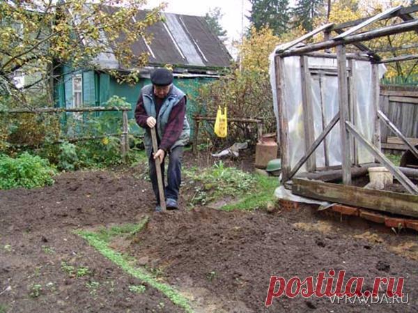 Как правильно обработать почву осенью...