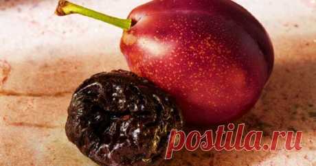 Этот фрукт назван лучшим продуктом против рака. Не зря я его так люблю Чернослив — отличный продукт для перекуса во время чаепития: вкусный, недорогой, безопасный для фигуры. А знаешь ли ты, что сушеная слива должна стать обязательной частью ежедневного рациона?

Чем пол…