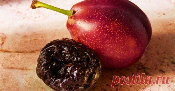 Этот фрукт назван лучшим продуктом против рака. Не зря я его так люблю Чернослив — отличный продукт для перекуса во время чаепития: вкусный, недорогой, безопасный для фигуры. А знаешь ли ты, что сушеная слива должна стать обязательной частью ежедневного рациона?

Чем пол…