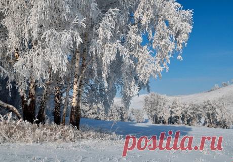 Подмигнула нам Зима-Кокетка....