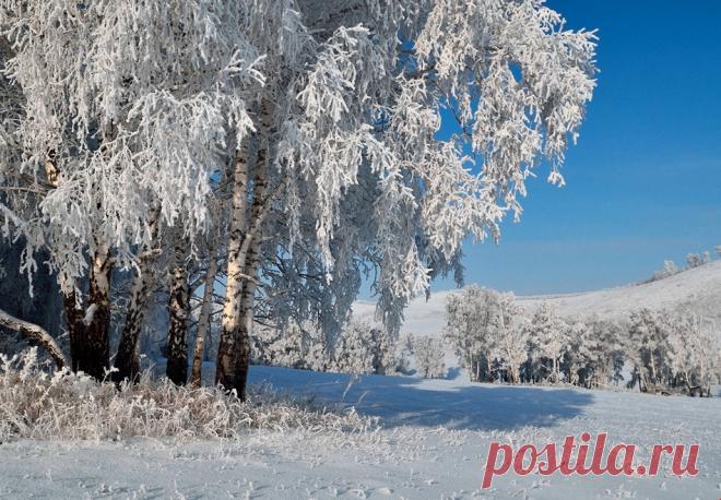 Подмигнула нам Зима-Кокетка....