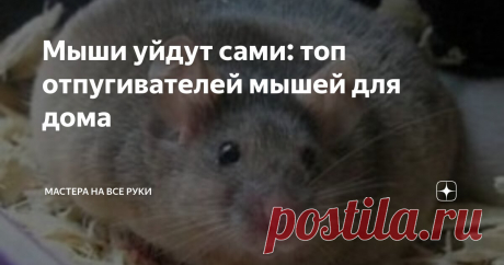 Мыши уйдут сами: топ отпугивателей мышей для дома Статья автора «Мастера на все руки» в Дзене ✍:  Практически все владельцы своих домов, рано или поздно сталкиваются с мышами.