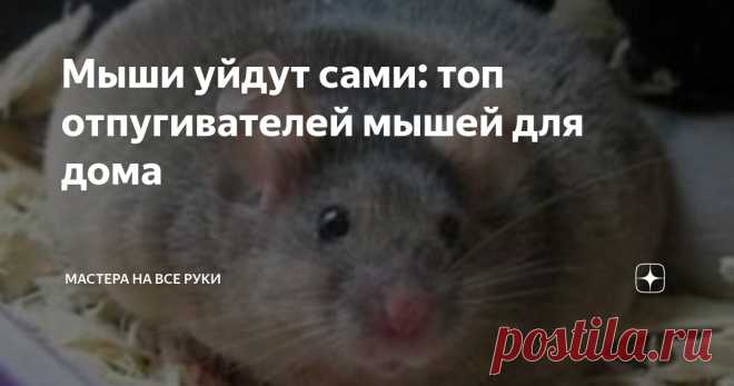 Мыши уйдут сами: топ отпугивателей мышей для дома Статья автора «Мастера на все руки» в Дзене ✍:  Практически все владельцы своих домов, рано или поздно сталкиваются с мышами.
