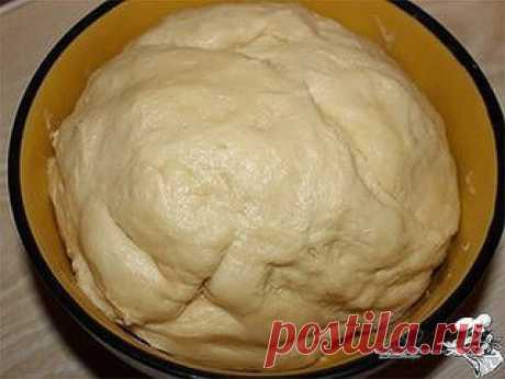 "Хрущевское" тесто

В кулинарных кругах такое тесто имеет статус легендарного. Повариха Анна Дышкант стряпала из него пирожки Хрущеву и другим членам Политбюро.
Позже это тесто описал в одной из своих кулинарных книг известный советский кулинар, популяризатор хорошей еды Вильям Похлебкин. В его версии оно называется «кулебячным». Но в тетрадках с рецептами советских хозяек оно значилось под названием «хрущевского» или «правильного теста для пирогов».

Над этим тестом не на...