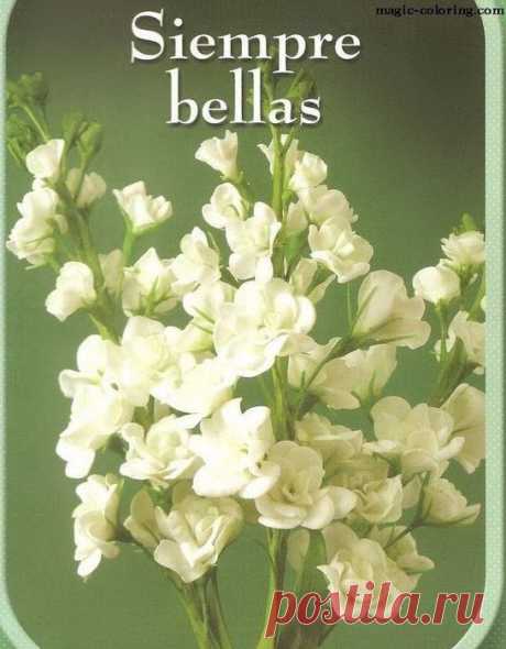 Шаблоны цветов: Желтушник черри