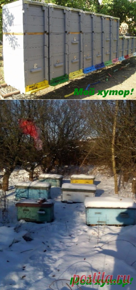 Какие ульи лучшие для пчел? &amp;#8212; Мой хутор!