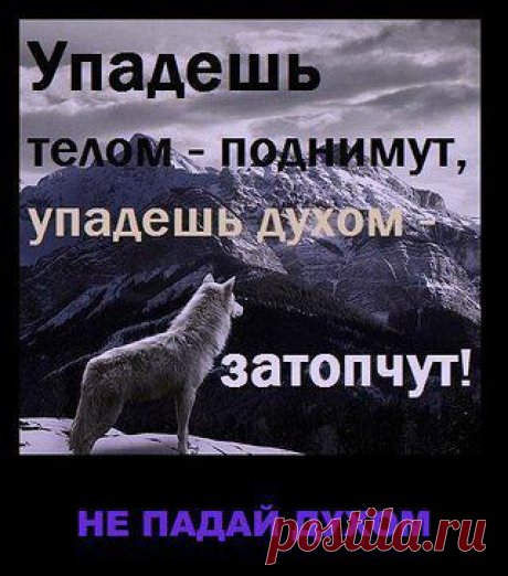 Интересные новости