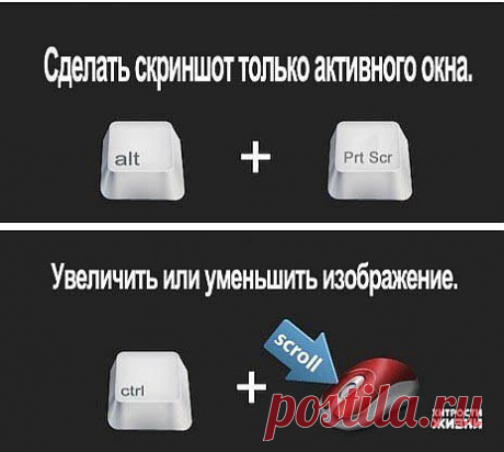 Группа: Хитрости жизни