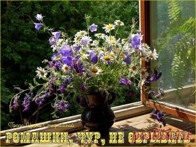 Ромашки, чур, не обрывать... Житейский рассказ. Она с трудом открыла глаза, окинула полусонным взглядом комнату и щурясь, посмотрела в окно. Лучики солнца, пробиваясь через занавеску, оставляли полосочки света на полу, на стенах, на вазе с цветами, стоявшей на журнальном столе. Букетом это, вряд ли можно было назвать. «Жалкая икебана» —  подумала она. На часах было ровно шесть. Повернув голову, она заметила, что подушка, лежащая рядом,