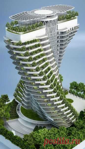 Bunga Padma – Google+