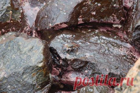 Шри Ланка | ЛЮБИТЕЛИ ПУТЕШЕСТВОВАТЬ