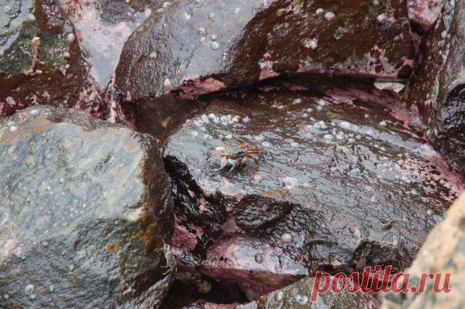 Шри Ланка | ЛЮБИТЕЛИ ПУТЕШЕСТВОВАТЬ